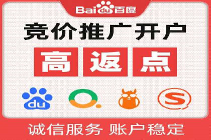 百度竞价广告投放策略：案例分析及优化建议